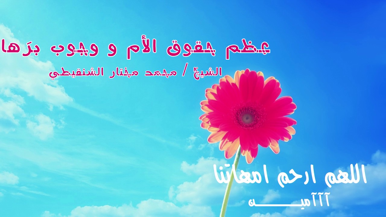 أمك ثم أمك ثم أمك  | للشيخ محمد مختار الشنقيطي