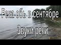 Река Обь в сентябре. Шум воды. Звуки реки.