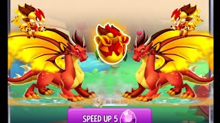 Dragon City tập 6 | Đã đủ điều kiện lai em Cosmic detonation - và test sức mạnh của bé Savior dragon