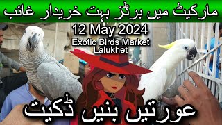 Exotic birds market lalukhet May 12, 2024 | Cheapest price parrot market in karachi | Birds market by A 4 ali shah 586 views 4 days ago 13 minutes, 55 seconds