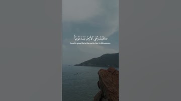 #قران_كريم #راحة_نفسية #تلاوة_خاشعة #ياسر_الدوسري #لااله_الا_الله_محمد_رسول_الله