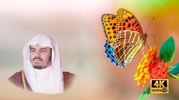 تلاوة خاشعة لسورة النبأ  بصوت الشيخ ياسر الدوسري