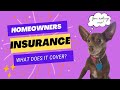 Home owners insurance in houston texas  movelivelovetx