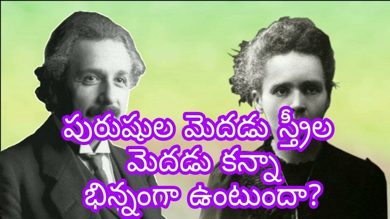 Male brain is different from Female brain Science Facts By Sri Krishna Technology - YouTube