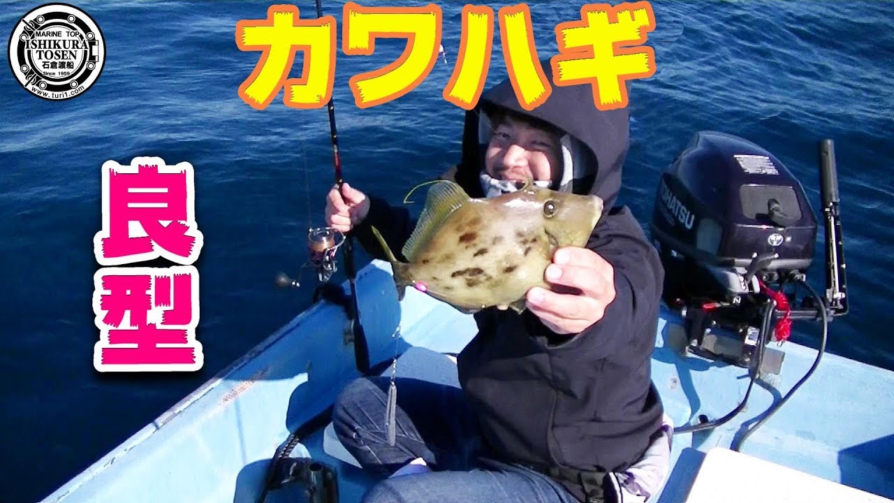 ボートカワハギ 良型大漁なるか⁉