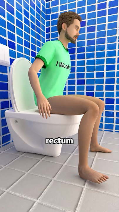 How Does Your Body Turn Food Into Poop? 💩