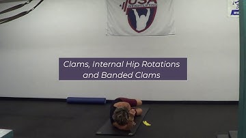 clams, internal hip rotations and banded clams