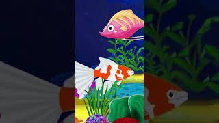 Baby Sleep Music #short #kidsmusic #oceanlullaby #lullaby #ocean #sleep