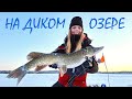 ЭТА РЫБА СДЕЛАЛА ДЕНЬ НЕЗАБЫВАЕМЫМ! Подледная рыбалка на затерянном глухом озере.