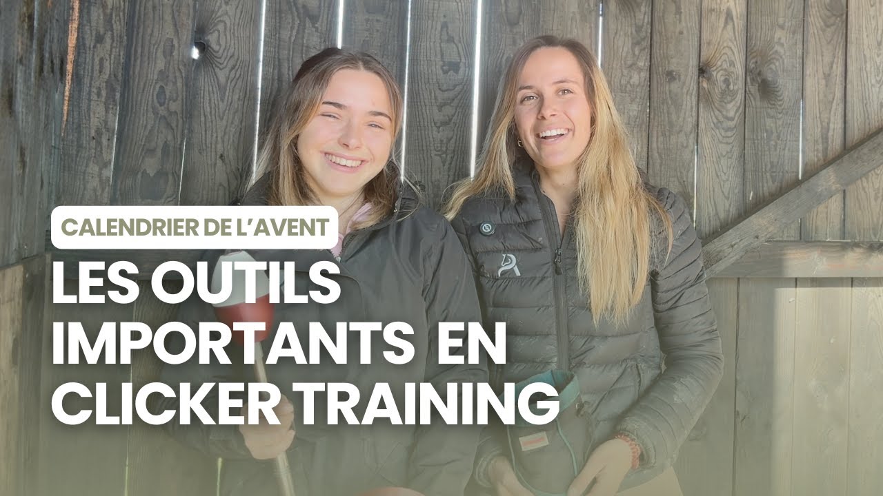 🎄 Jour 6 : les outils importants en Clicker Training