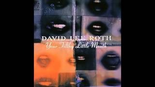 Watch David Lee Roth Hey You Never Know video