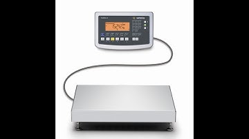 Quick DIY Sartorius Combics Scale Calibration