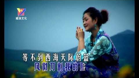 降央卓玛 西海情歌 国语 流行 MTV