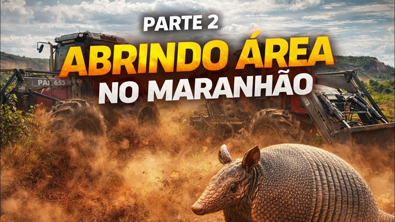 LIMPANDO ÁREA NO MARANHÃO | PARTE 2 