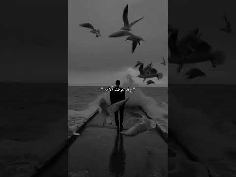 دموع اليتيم اليوم بارد والليل دامس ظلامه لايك اشتراك اكسبلور تصميمي