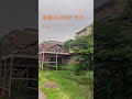 鴨川沿いをロードレーサーでお散歩中、川床発見、ええ季節になりましたなー! 20250519 #shorts#japan#kyoto#road#ロードレーサー#川床#初夏#梅雨#観光地#京都#自転車#夏