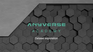 9. Dataset exploration | In-cabin monitoring resources | Anyverse