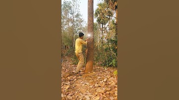 vfx magic funny edit #short #vfx #magic #comedy #funny