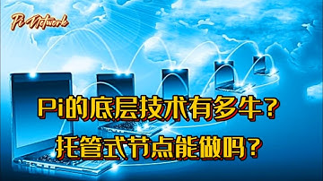 Pi Network Pi的底层技术有多牛？托管式节点能做吗？#pi #picoin #pipayment #piconsensus #web3 #blockchain