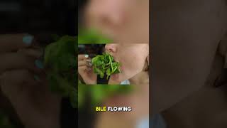 Eat These 5 Foods DAILY to Boost Bile &amp; Improve Digestion Naturally!