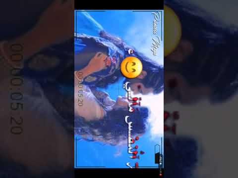 مملكة الحب على اغنية عشق موت