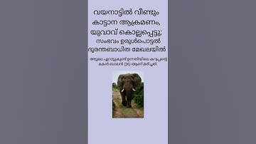 വയനാട്ടിൽ വീണ്ടും കാട്ടാന ആക്രമണം,