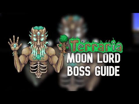 泰拉瑞亚 月亮领主  测试 // Terraria Moon Lord  Test