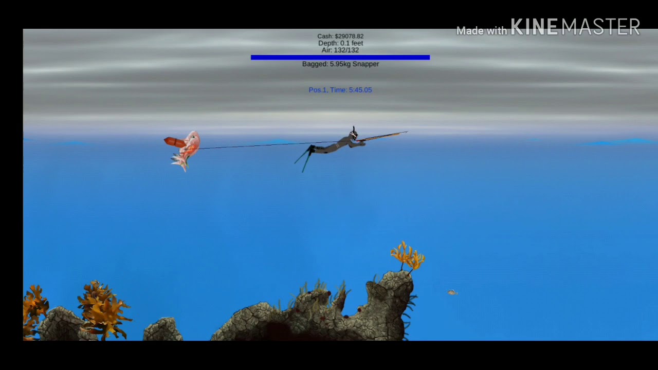 Pocket Diver Spearfishing Snapper Tournaments YouTube