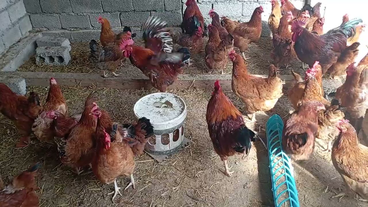 22 февраля 2026 г.