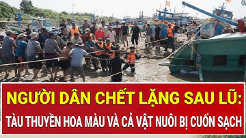 Người dân chết lặng sau cơn lũ lịch sử: Tàu thuyền, hoa màu và cả vật nuôi bị cuốn sạch