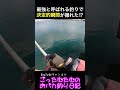 【決定的瞬間】最強と呼ばれる釣りで決定的瞬間が撮れた⁉︎ #エビ撒き #フカセ釣り #釣り