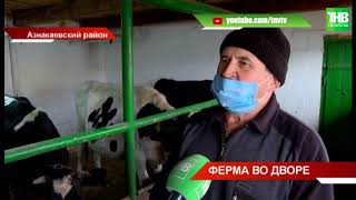 Фермер из Татарстана создал молочную ферму с нуля | ТНВ