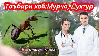 Таъбири хоб:Мурча,Духтур ҷавоб ба подписчик