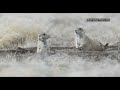 Middle of video