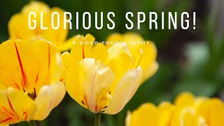Spring: Glorious Spring!! | 2022 π