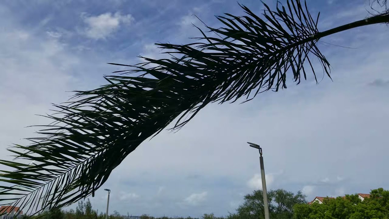 Florida Live Cam Port Everglades 5 20 Sound Check YouTube