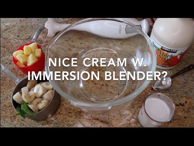 Chocolate Ice Cream With Utalent Immersion Blender 3 Ingredients and No  Machine! 