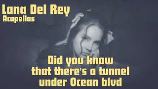 Lana Del Rey – Did you know that there's a tunnel under Ocean Blvd (Acapella)