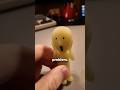 Does Nobody Know This Game?