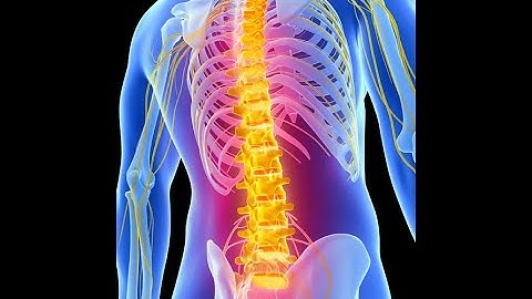 Understanding the Spinal Engine