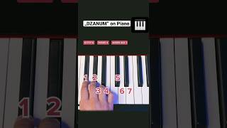 „DZANUM“ on Piano (Easy Tutorial) #pianotutorial #easypiano #learnpiano