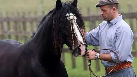 Nossa Gente, Nosso Cavalo Mariano Lemanski