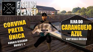 Fishing Planet - Corvina Preta Única + Robalo Riscado Único  |  Ilha do Caranguejo Azul
