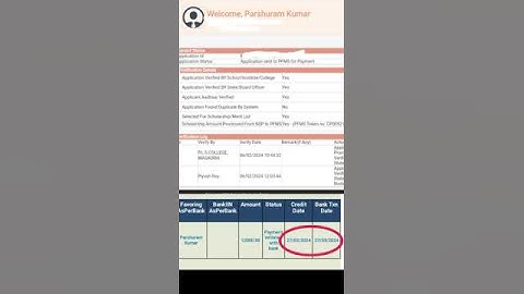 nsp payment 2024 proof