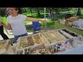 Ч.2, на Скулянке ярмарка местных производителей, цены.Парк Алунелул 23.05.2026#молдова#кишинёв##цены