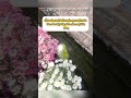 Như một bức tranh mùa xuân #tips #trending #photo #chupanh #xuhuong