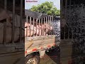 Watering Pigs in a Truck to Cool Them Down! 🐷💦 #AnimalCare**