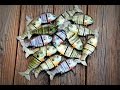 Top 5 Spring Bass Fishing Lures