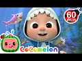 More Baby Shark Hide and Seek! | CoComelon | Animals for Kids | Sing Along | Learn about Animals