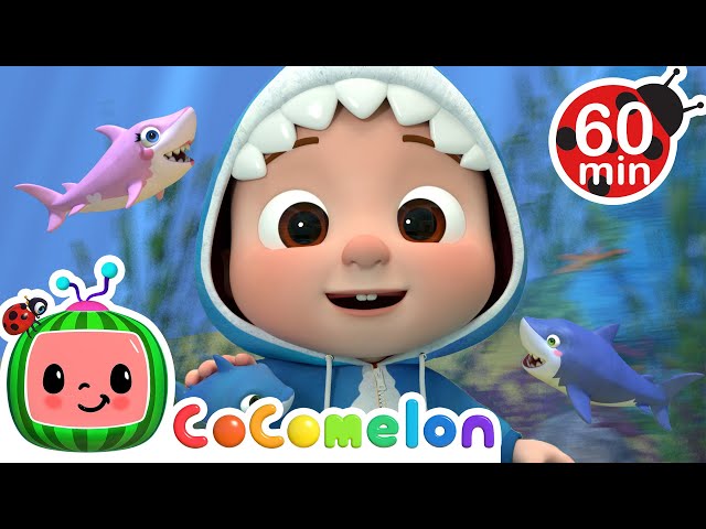 More Baby Shark Hide and Seek! | CoComelon | Animals for Kids | Sing Along | Learn about Animals class=